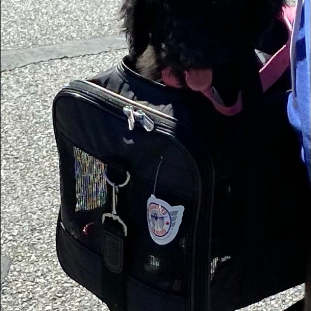 COPY - Airline Approved Pet Carrier with Sherpa Pad Inside